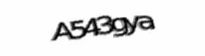 Security check image, please type the characters shown